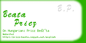 beata pricz business card